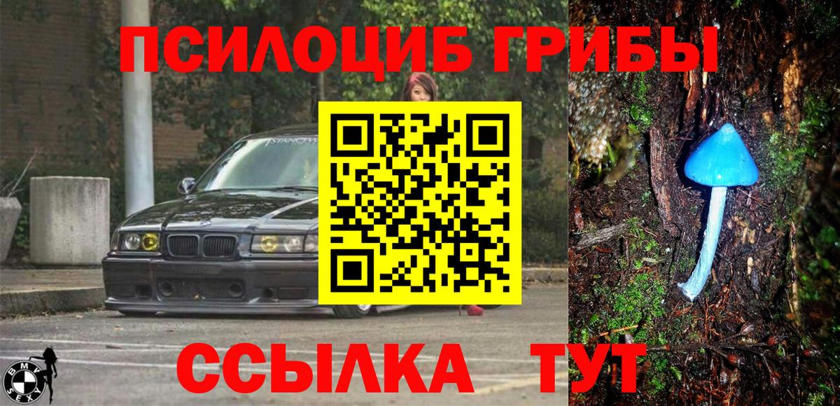 Псилоцибиновые грибы MAGIC MUSHROOMS  Вход с VPN  Истра 